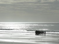 /album/fotogaleria/p1020908-jpg/
